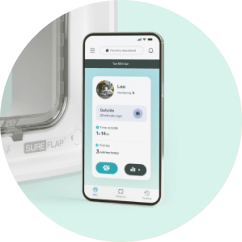App - Connected