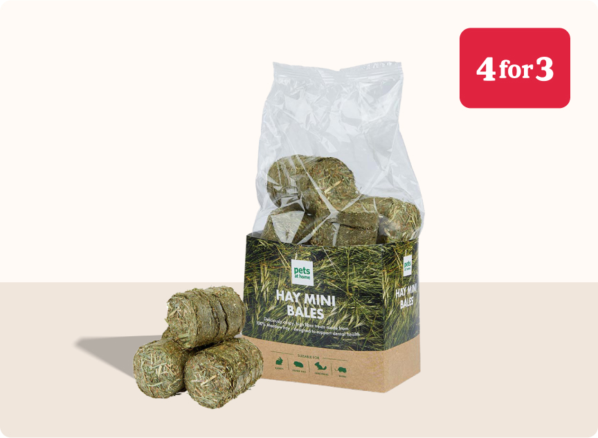 Pets at Home Discount Codes, Vouchers & Special Offers Pets