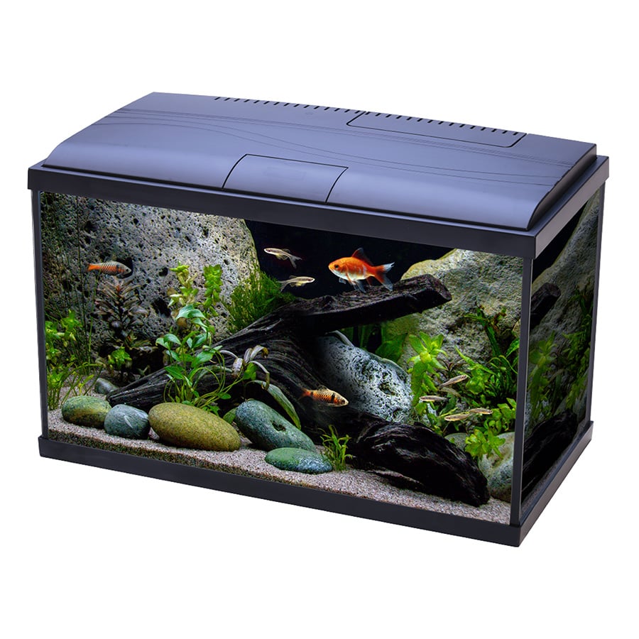 Save 30% off selected Adult Aquarium Tanks