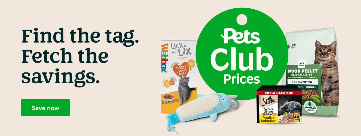 Blink! Wet Cat Food Chicken Selection In Jelly Pets