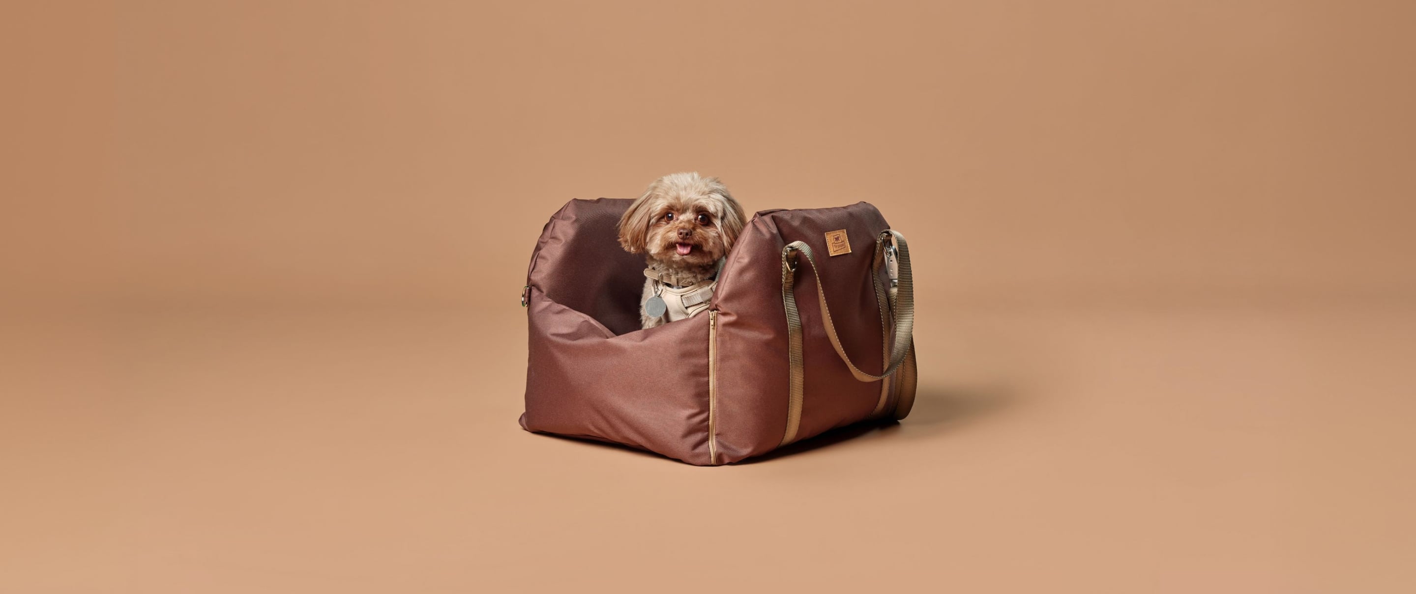 Travelling Safely in the Car with Your Dog