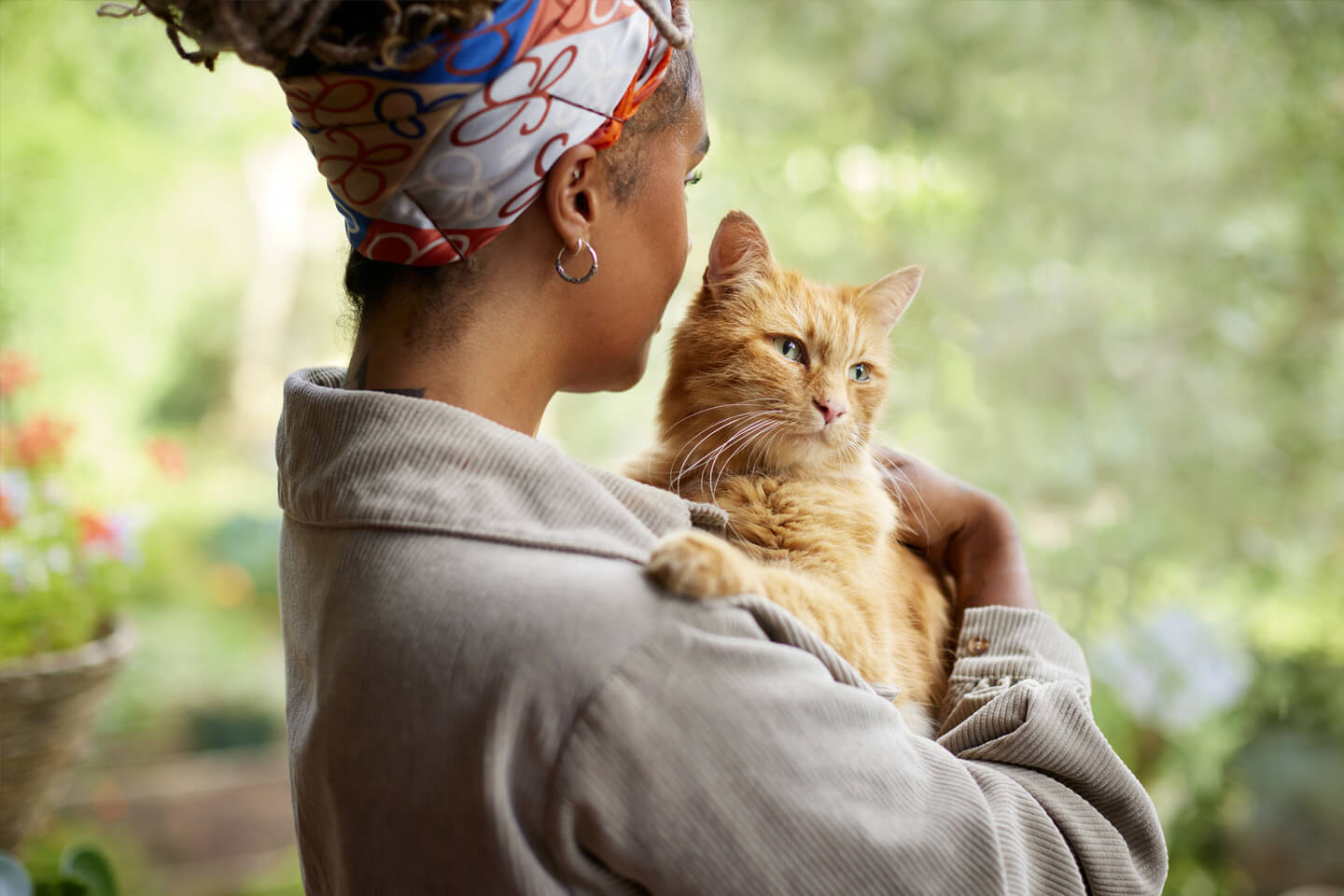 Cat & Kitten Insurance