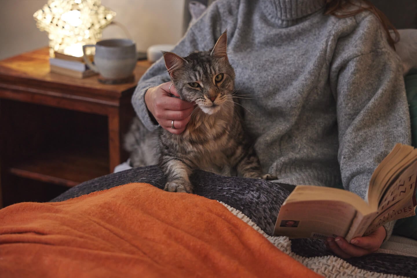 How to keep your cat warm