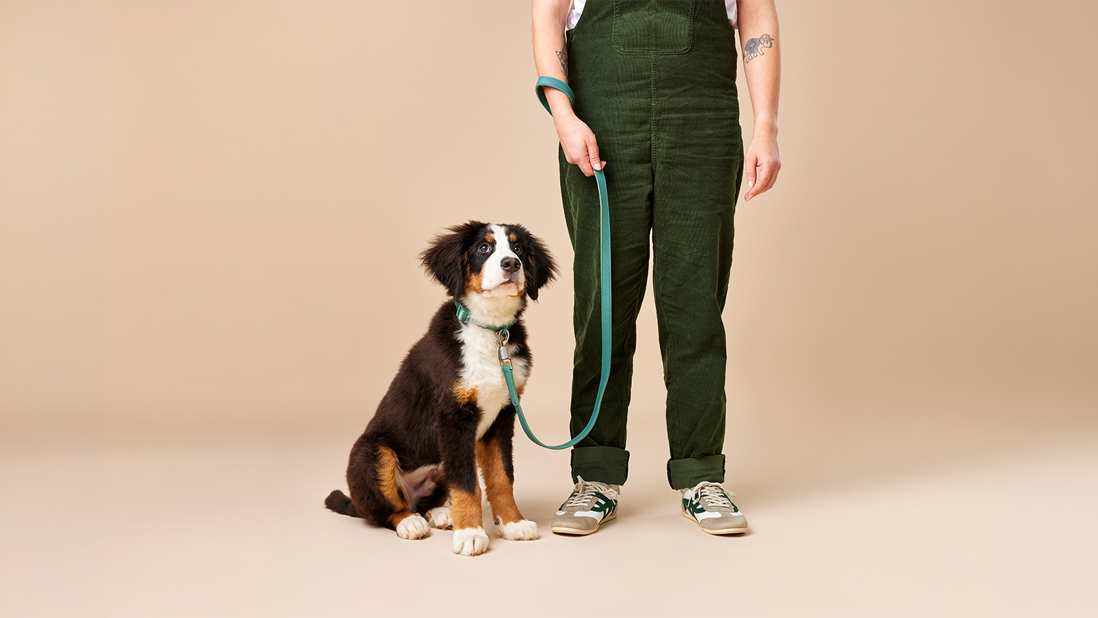 The good, the bad and the ugly. What to expect with a new pet