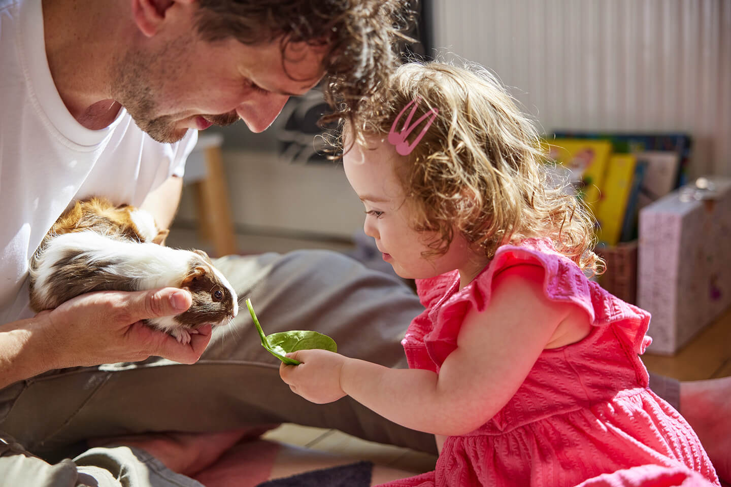 Guinea pig care guide