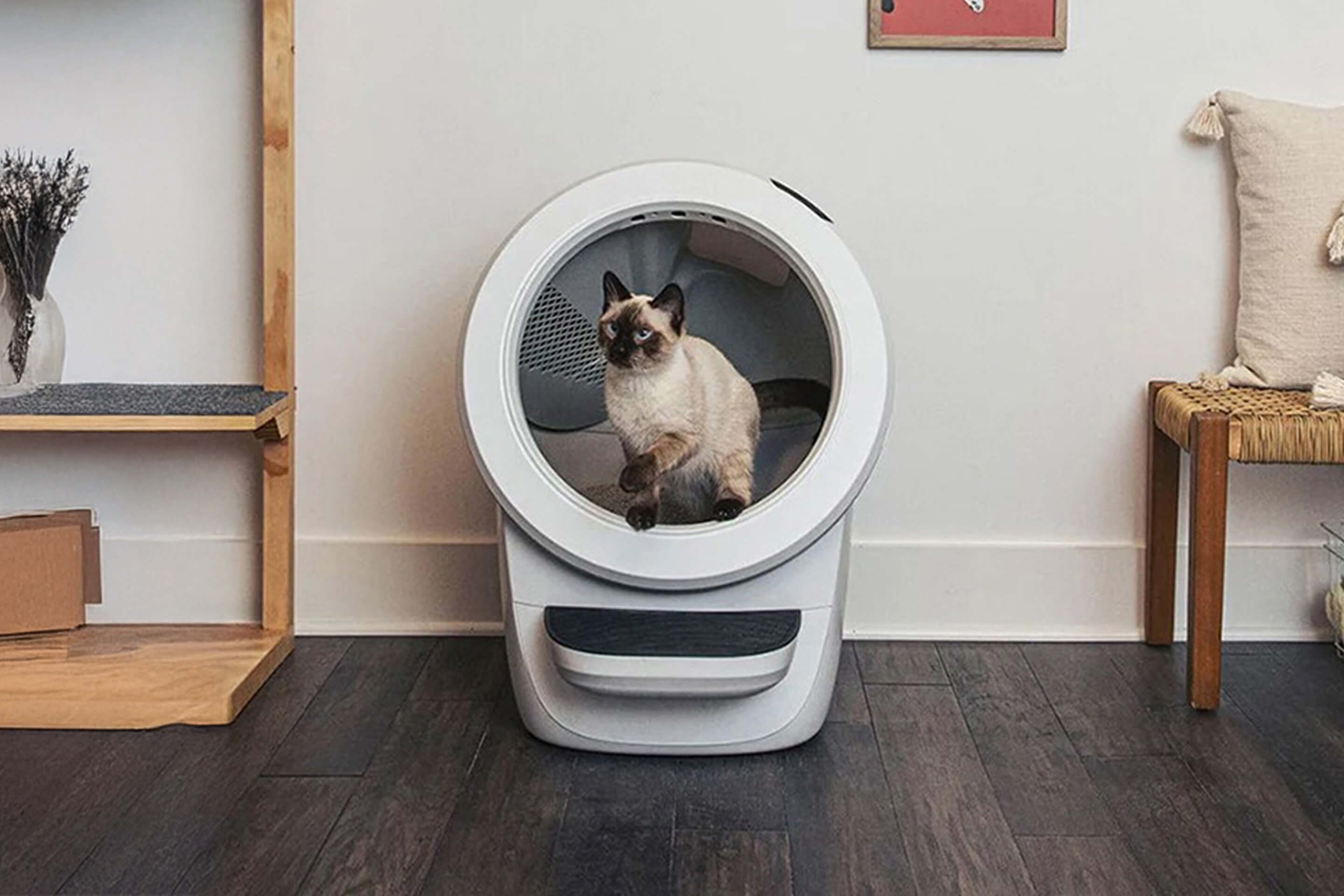 Innovations: a pet tech upgrade