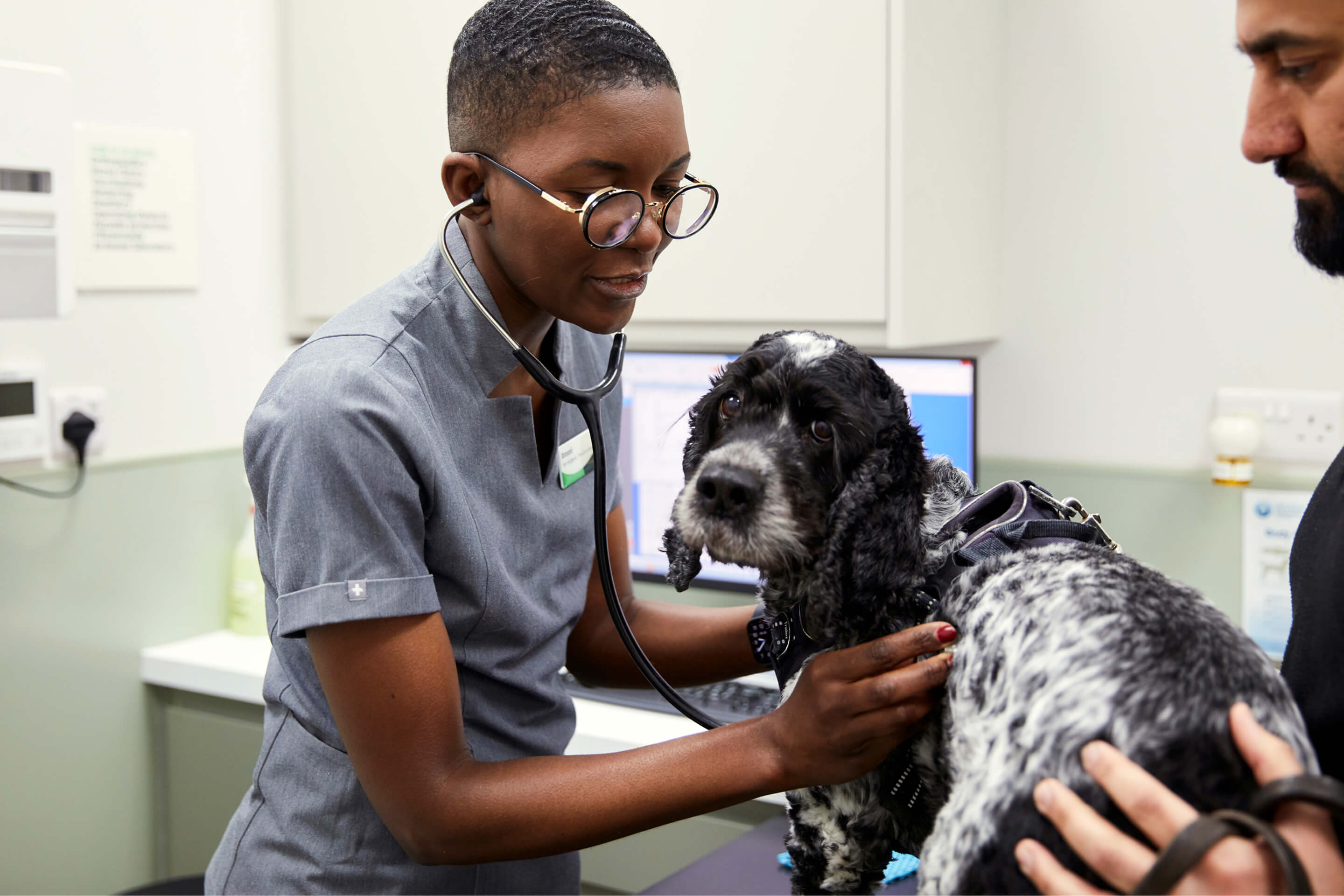 Ask the vet
