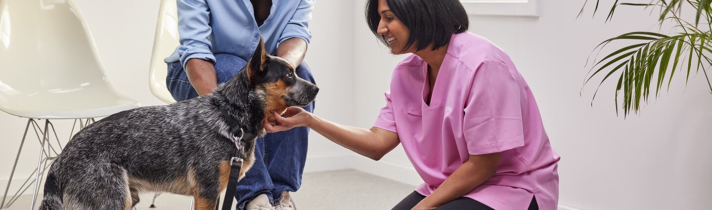 Dog health vaccinations