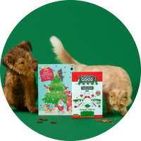 Advent Calendars