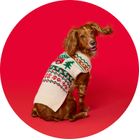 Festive Fashion