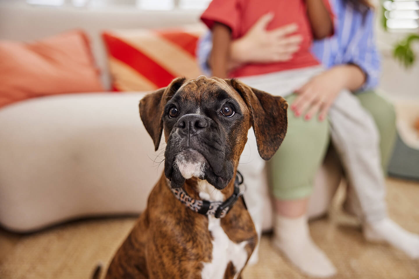 Popular dog names