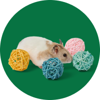 Shop All Small Animal