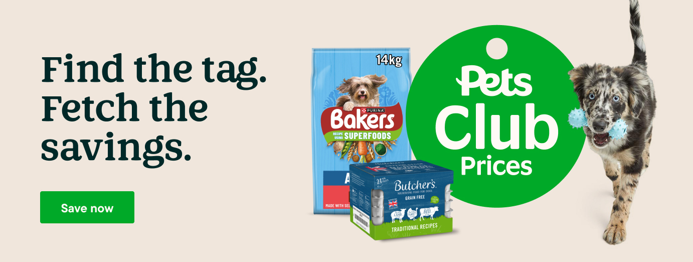 Bark Consuela The Cactus Plush Dog Toy Pets