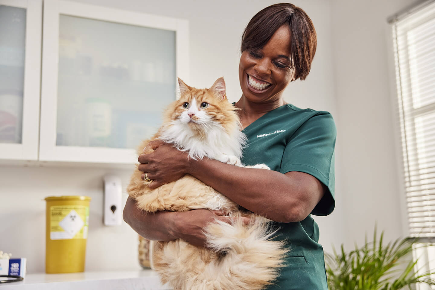 Top 10 Cat Names for 2025