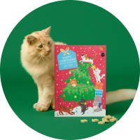 Advent Calendars