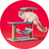 Trees & Scratchers