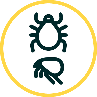 Flea, Tick & Worming