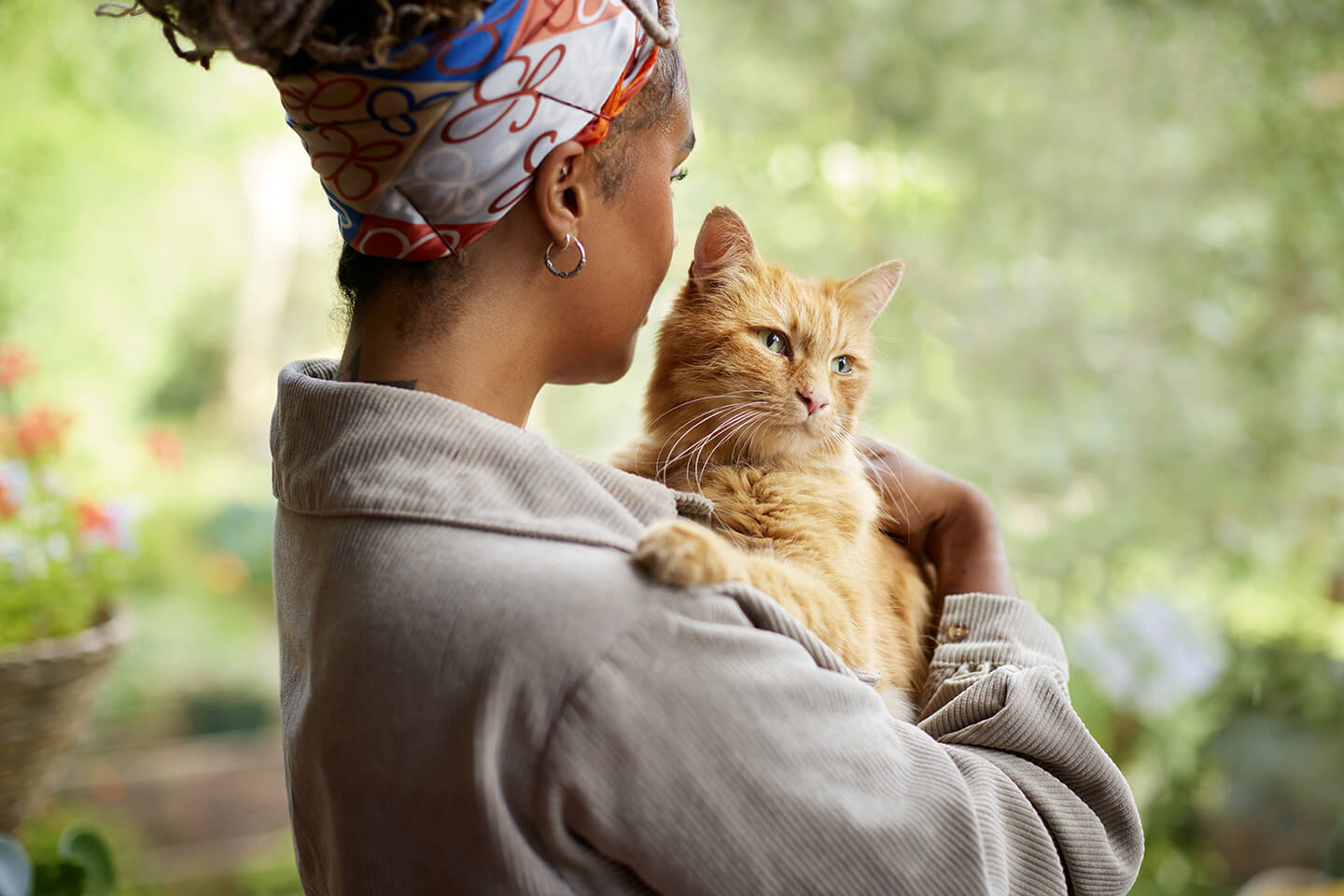 How to care for a cat with fleas