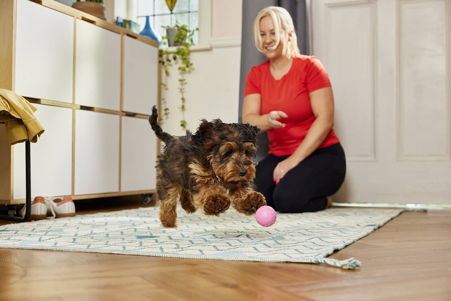 Puppy training guide