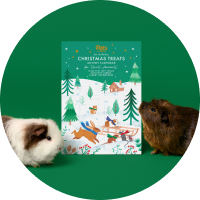 Advent Calendars