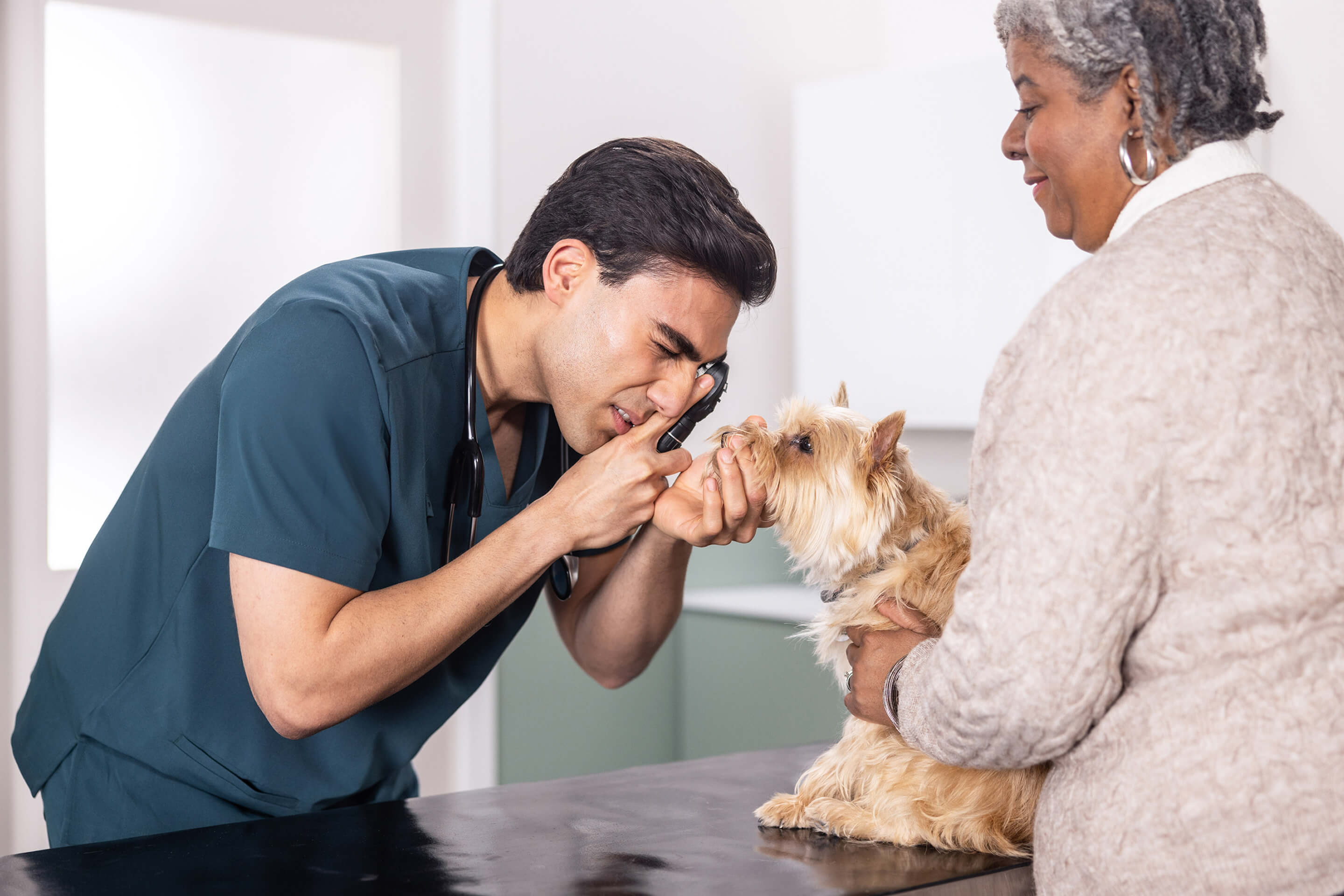 Making sense of pet ear and eye health