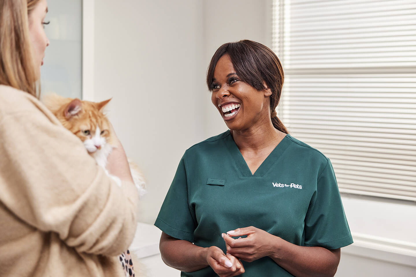 Understanding Cat Neutering, Spaying & Castration