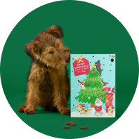 Advent Calendars