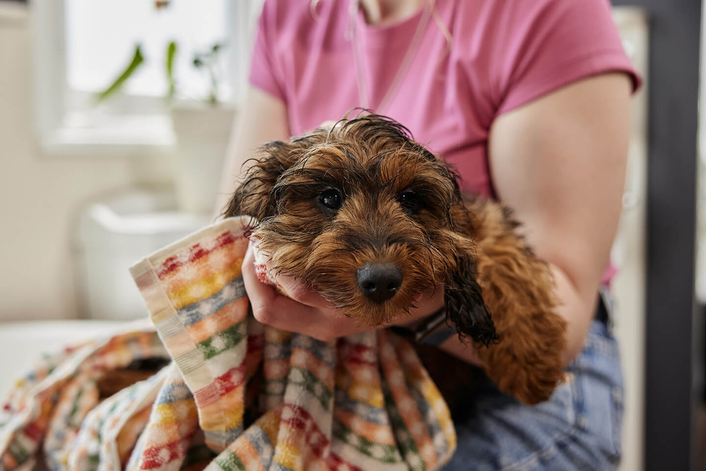New puppy checklist
