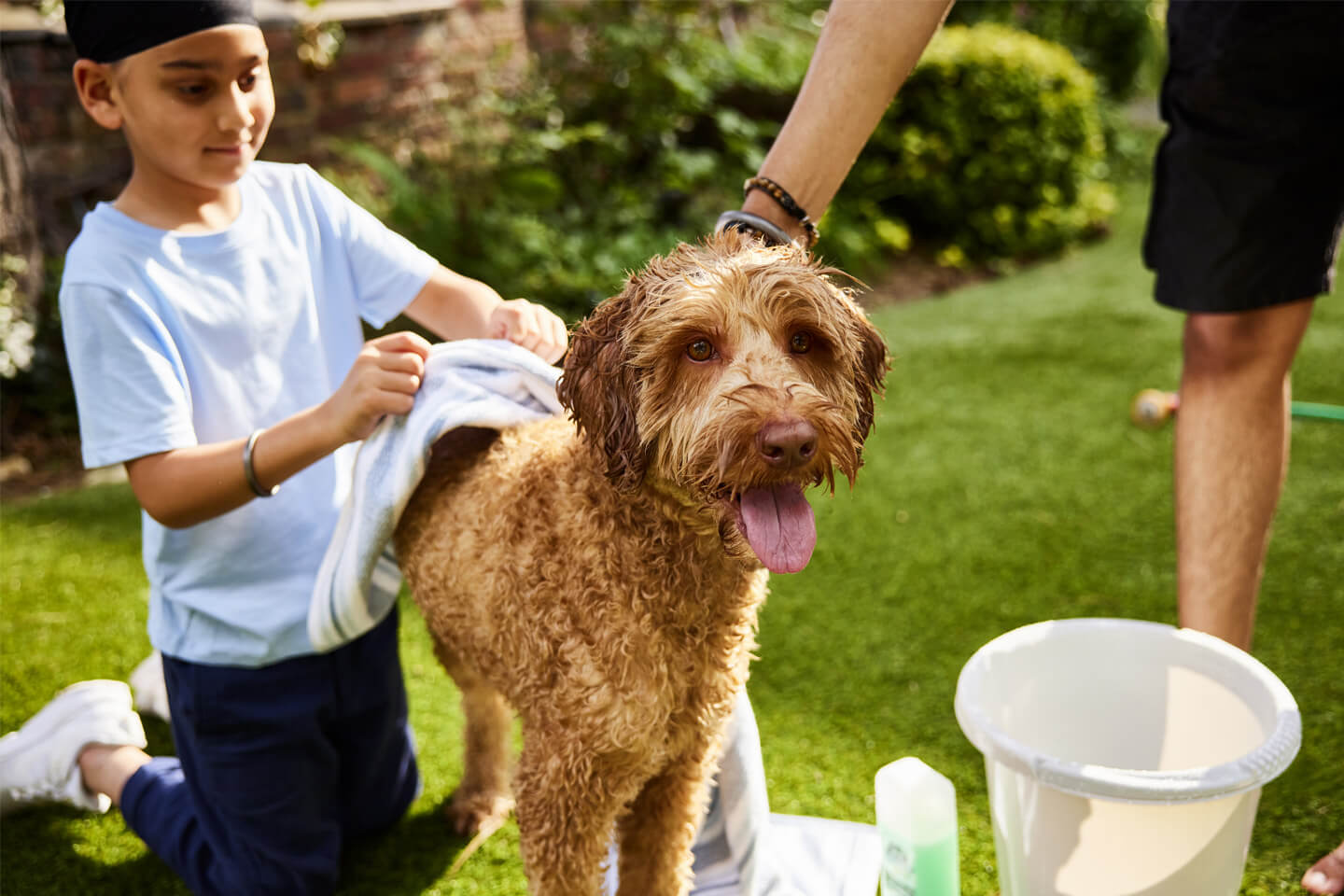 Bathing your dog at home
