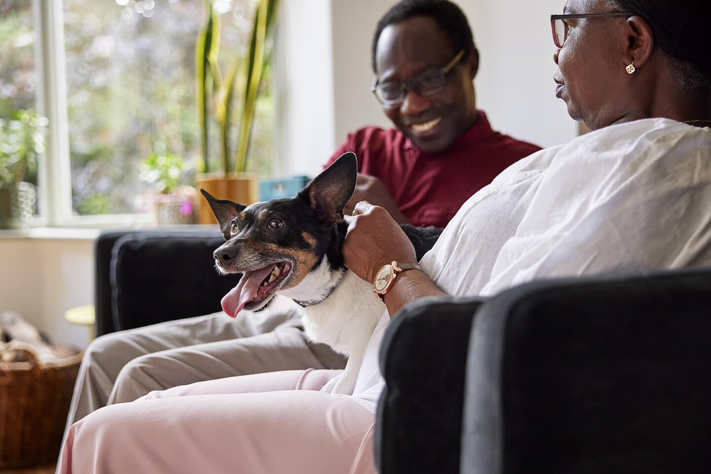 Planning a pet safe party