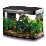 Save 25% on selected Love Fish Adult Aquarium Tanks