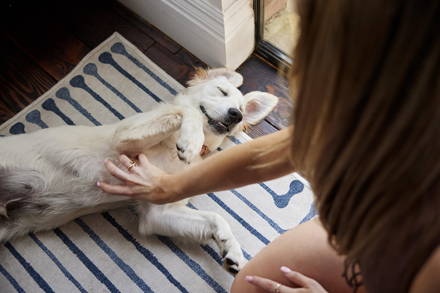 Dog Crate Advice and Training