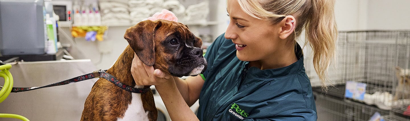 Dog grooming guide