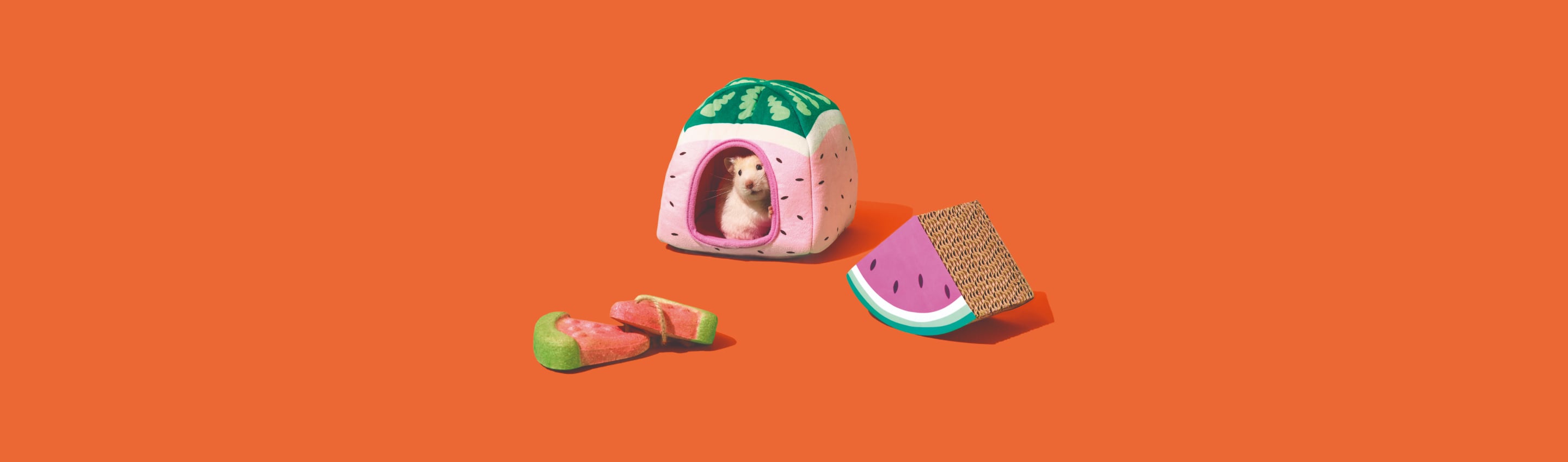 Keeping small pets cool